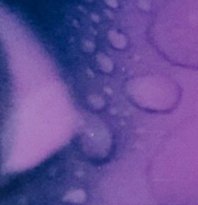 Glistening water droplets on an abstract purple and blue background